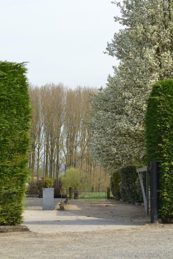 B&B Molenzicht Ninove Exterior foto